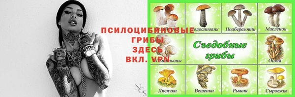 дживик Белокуриха
