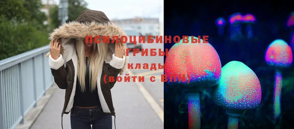 дживик Белокуриха