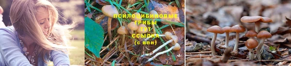 а пвп мука Белоозёрский