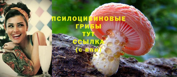 дживик Белокуриха